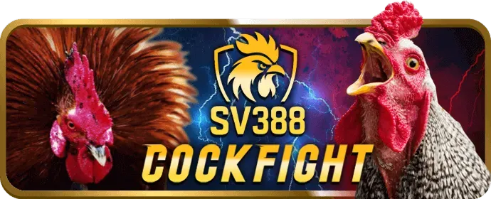 Hình ảnh các sự kiện và giải đấu slot đặc biệt tại xp88 chính thức
